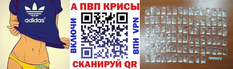 A PVP СК  Каргат 