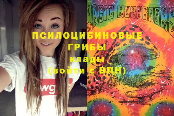 СК Верея