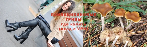 mdpv Бугульма