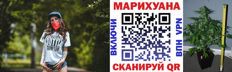 Бошки марихуана OG Kush  Каргат 